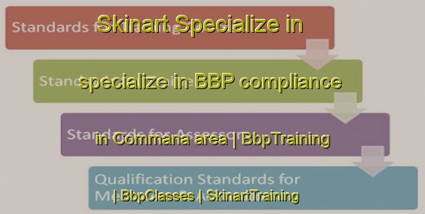 Skinart Specialize in specialize in BBP compliance in Commana area | BbpTraining | BbpClasses | SkinartTraining-France